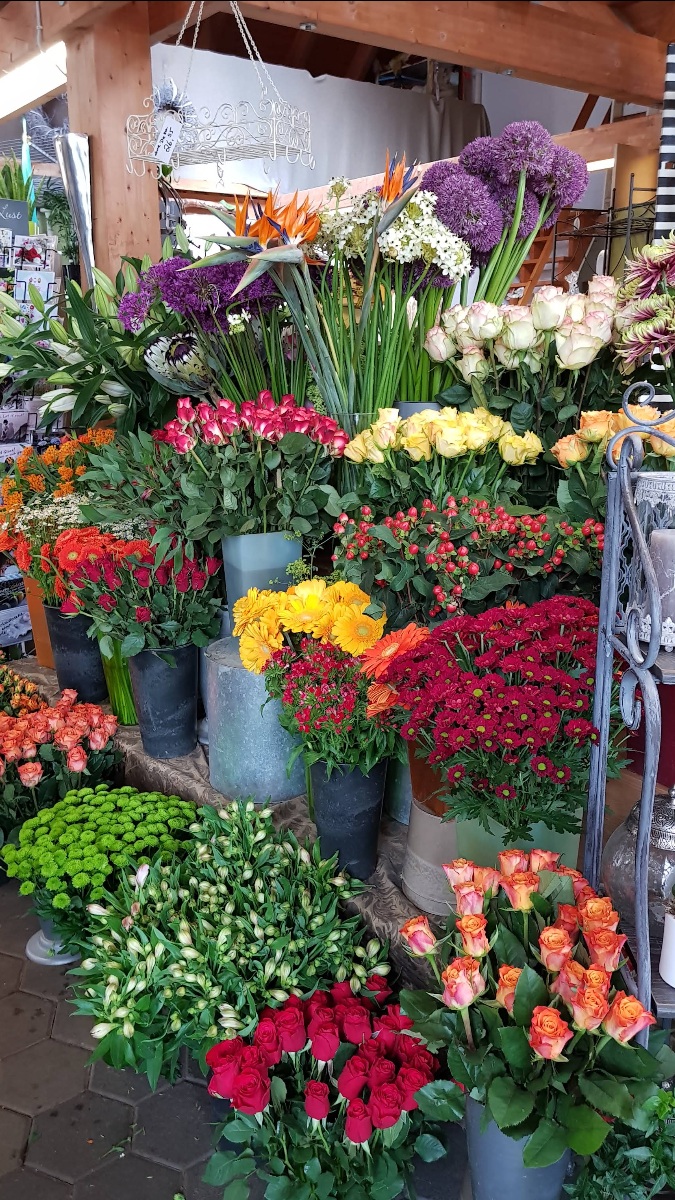 Frische Schnittblumen in großer Auswahl