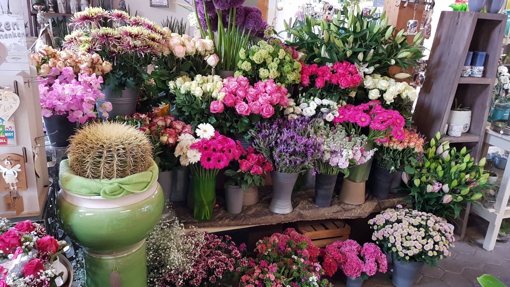 Topfpflanzen für drinnen und draußen